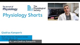 PHYS SHORTS Activation of small conductance Ca2activated K channels suppresses Ca2 transient [upl. by Ynahpets]