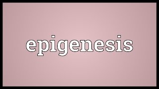 Epigenesis Meaning [upl. by Ainnet]