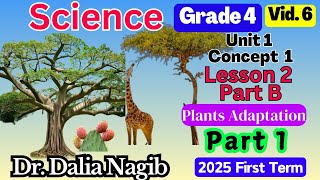 ساينس رابعه ابتدائي ترم اول 2025 Science Grade 4 Concept 1 Lesson 2 Plant Adaptations Part B P1 [upl. by Mailli]