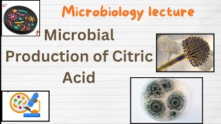 Citric acid production  Microbial Production of Citric Acid  Industrial production of Citric acid [upl. by Ecyarg]