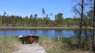 Kråkshult v Lidhult  Kråkshultasjön 250 m fra huset [upl. by Cavan]