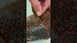 WildernessCooked Salmon Salt Recipe Taste Like Never Before [upl. by Zuzana]