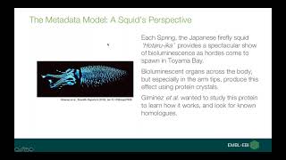 European Nucleotide Archive An Introduction [upl. by Ydnes]