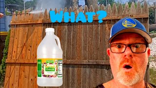 Pretreating Before Pressure Washing With White Vinegar You Wont Believe The Results DIY [upl. by Nosniv]