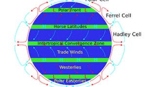 Trade Winds easily explained [upl. by Aicatan]