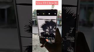 Vivo T3 Ultra 5G camera test vivot3ultra vivot3ultracameratest vivot3ultra5g [upl. by Leventhal219]