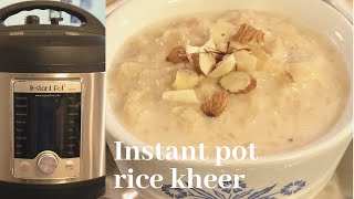 Rice Kheer In Instant Pot Ultra  Rice Pudding With Condensed Milk  Instant Pot Ultra Recipes [upl. by Carrol331]