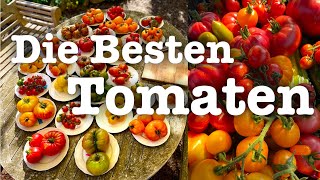 52 Die Besten Tomaten Sorten 2024 aus meinem Garten🍅 Tomatenverkostung [upl. by Suehtomit]