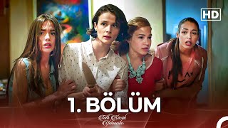 Tatlı Küçük Yalancılar 1 Bölüm FULL HD [upl. by Lesli]