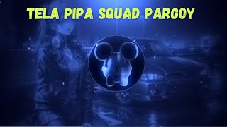 DJ TELA PIPA  Squad Pargoy [upl. by Wein]