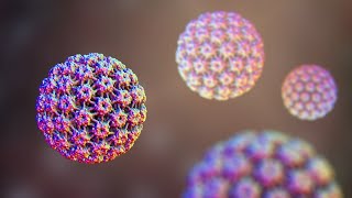 Understanding Human Papillomavirus HPV Infection [upl. by Imeon167]