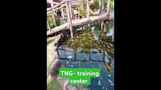 TNG training center Malaysia funny [upl. by Tibbs]