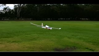 ESport Phoenix RC Glider [upl. by Julie]