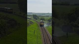 Class 33 33111 Sets off detonators while rescuing Class 50 50021 Rodney [upl. by Eellek]