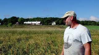 Vermont Rice Farming 2016 [upl. by Samy]