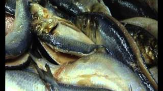 Craster Kippers  L Robson amp Sons promo by Castlecross [upl. by Sifan]