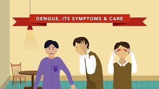 The Symptoms of Dengue [upl. by Norag]