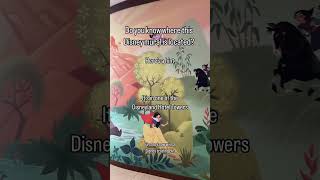 Celebrating DVC Membership disney dvcmember [upl. by Oxley]