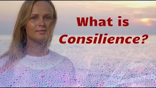 What is Consilience [upl. by Lutim]