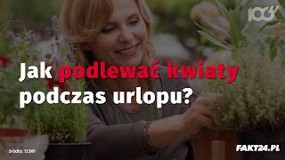 Jak podlewać kwiaty podczas urlopu [upl. by Dillon]