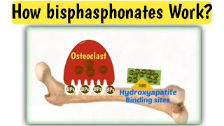 Mechanism action of bisphasphonates  How bisphasphonates work  Doctors goal [upl. by Paz104]