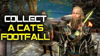 Collect A Cats FootfallA Felines Footfall Assassins Creed Valhalla [upl. by Leribag381]