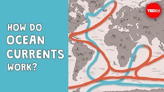 How do ocean currents work  Jennifer Verduin [upl. by Earej]