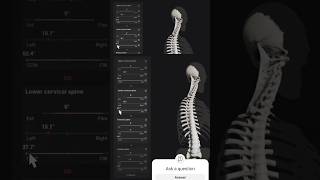 Biomechanics Of Human Spine mobility anatomy viral physiotherapy animation 3danatomy expert [upl. by Bithia]