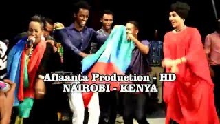 Dhaanto Cusub Hodan Abdirahman iyo Iidle Yare 2016 By Aflaanta Studio [upl. by Joane]