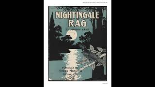 Nightingale Rag 1915 [upl. by Norrahs]