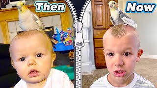 Recreating Old Baby Pictures With The Tannerites [upl. by Ecidna161]