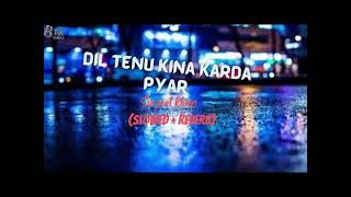 Dil Tenu Kina Karda Pyar  Slowed amp Reverb  Mind Relaxing Song  Lofi Songs [upl. by Rosner290]