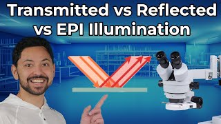 Transmitted VS Reflected VS Epi Illumination in Microscopes [upl. by Anegal]