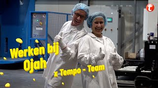 Werken bij Ojah  Productiemedewerker en Logistiek Medewerker TempoTeam [upl. by Imaj]