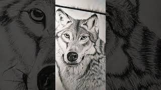 wolf art trending viral shorts [upl. by Hanonew]