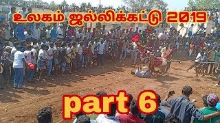 Ulagam Jallikattu Mash up Bulls Race Hosur Jallikattu videos 2019 [upl. by Halli]