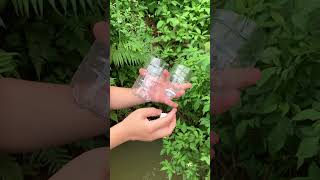 DIY Water Filter Using a Plastic Bottle outdoors camping survival bushcraft shorts [upl. by Edlyn]