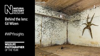 Behind the lens The spider room by Gil Wizen WPYInsights  Natural History Museum [upl. by Ethelyn]