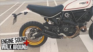 Ducati Scrambler Desert Sled  engine sound amp walk around [upl. by Grobe]