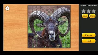 Jigsaw Puzzles Epic Games  EP 25 100 pieces [upl. by Leanard908]