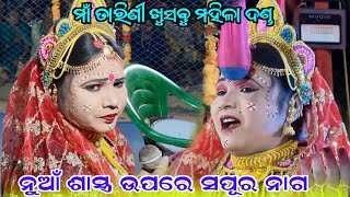 Sapura nag danda  Tarini khusbu mahila dandanrutya  kisan sambalpuri [upl. by Eilsew]