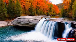 Beautiful Waterfall in Autumn Forest Waterfall Sounds Flowing Water White Noise for Sleeping [upl. by Nefets270]