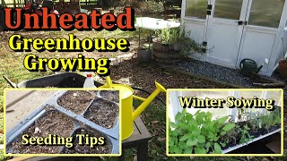 Growing Plants in an Unheated Greenhouse Winter  Start With Perennial Flowers amp Herbs Ep1 [upl. by Alabaster307]