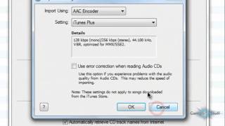 Convert MP3 To M4A Using iTunes [upl. by Ihsoyim]