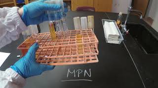 E Coli Bacteria Testing [upl. by Lurleen103]