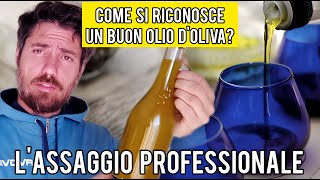 Degustare lolio doliva il metodo classico [upl. by Bullough]