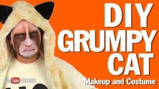 DIY Grumpy Cat Makeup and Costume HowTo [upl. by Nathanson]