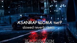 ASANRAP ШОМА ТИГР  SLOWED amp REVERB  blacklyricloom [upl. by Nakre258]