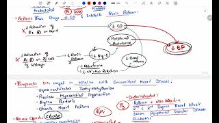 Antihypertensive Pharmacology  Sympathetic Agents in Hypertension  Beta blockers  Pt 2 [upl. by Aitas890]