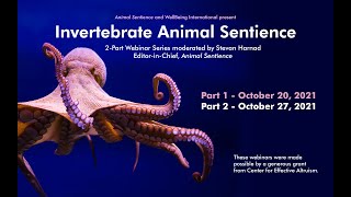 Invertebrate Animal Sentience  Part 1 [upl. by Gentille]